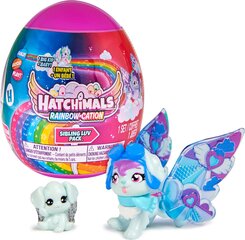 Kahe loomafiguuriga muna Hatchimals Rainbowcation цена и информация | MUST Металлическая бутылочка с Ярким рисунком (без BPA) (500ml) для мальчиков от 3+ лет Серая с Машинкой | kaup24.ee