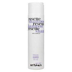 Artego Easy Care T Rescue šampoon 250 ml hind ja info | Šampoonid | kaup24.ee
