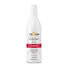 Alfaparf Yellow Color Care Shampoo 500 ml цена и информация | Шампуни | kaup24.ee
