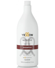 Alfaparf Yellow Nutritive toitev šampoon 1500 ml цена и информация | Шампуни | kaup24.ee