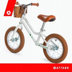Балансировочный велосипед ATTABO Ice 12" цена и информация | Детский трехколесный велосипед - коляска с удобной ручкой управления для родителей Riff F95941 2в1, фиолетовый | kaup24.ee