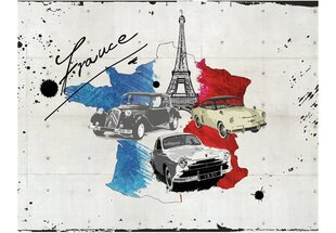 Fototapeet - Admirer of cars (France) hind ja info | Fototapeedid | kaup24.ee