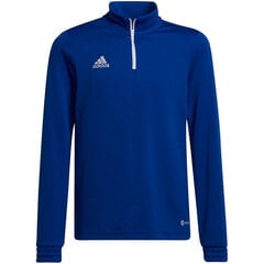 Meeste spordisärk Adidas цена и информация | Рубашки для мальчиков | kaup24.ee