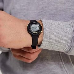 Käekell naistele Casio LW2031BVEF цена и информация | Женские часы | kaup24.ee