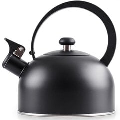 Чайник из черной стали со свистком, 2 л цена и информация | Чайники, кофейники | kaup24.ee