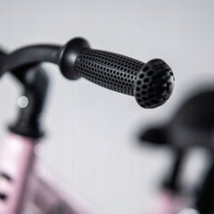 Tasakaaluratas Cariboo Magnesium Pro 12, roosa цена и информация | Балансировочные велосипеды | kaup24.ee