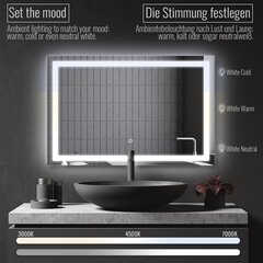 Зеркало для ванной, 100х70 см, прозрачное цена и информация | Зеркала | kaup24.ee