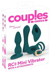 Vibraatorite komplekt Couples Choice Mini Vibe, roheline hind ja info | Vibraatorid | kaup24.ee