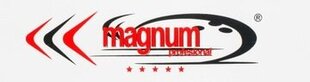 Бензопила Magnum 3800 Вт/5,2 л.с. цена и информация | Цепные пилы | kaup24.ee