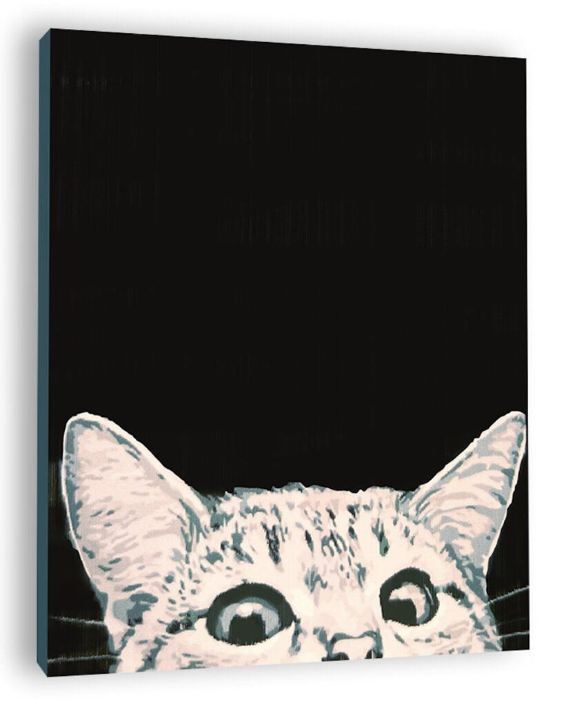 Maalimine numbrite järgi Winder Arts "Uudishimulik kass, tumedal taustal", 40x50cm hind ja info | Maalid numbri järgi | kaup24.ee