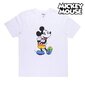 T-särk naistele Disney Pride S0726907 hind ja info | Naiste T-särgid, topid | kaup24.ee