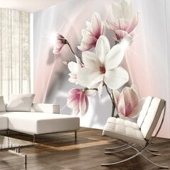 Fototapeet - White magnolias hind ja info | Fototapeedid | kaup24.ee