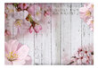 Fototapetas Apple Blossoms hind ja info | Fototapeedid | kaup24.ee