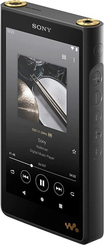 Sony NW-WM1AM2 Walkman цена и информация | MP3-mängijad, MP4-mängijad | kaup24.ee