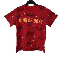 T-särk poistele, punane цена и информация | Рубашки для мальчиков | kaup24.ee