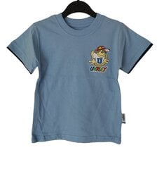 T-särgid poistele цена и информация | Рубашки для мальчиков | kaup24.ee