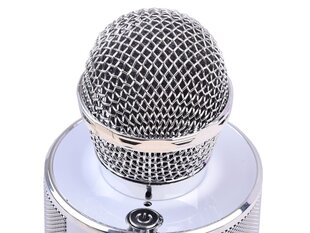 Juhtmevaba karaoke mikrofon koos kõlariga, hõbedane цена и информация | Развивающие игрушки | kaup24.ee