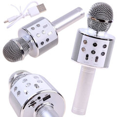 Беспроводной караоке-микрофон с динамиком, серебристый цена и информация | Развивающие игрушки | kaup24.ee