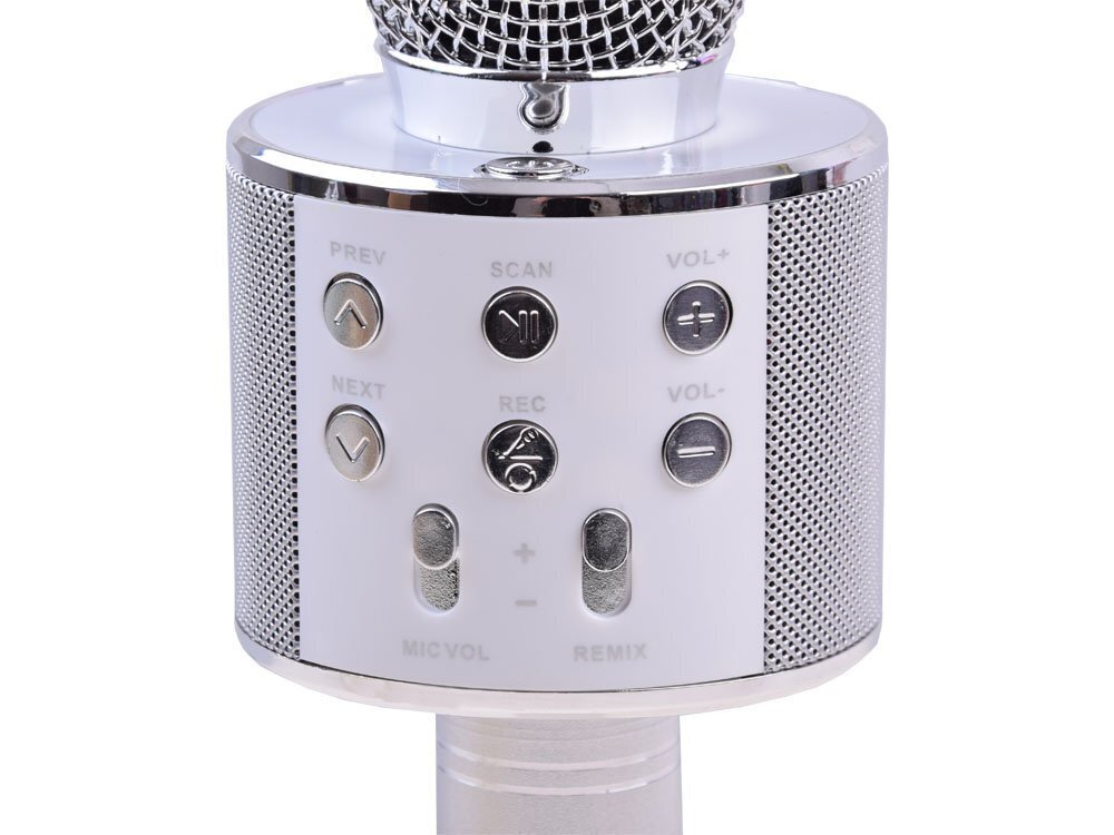 Juhtmevaba karaoke mikrofon koos kõlariga, hõbedane hind ja info | Arendavad mänguasjad | kaup24.ee