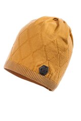 Puuvillane müts Larry poisile цена и информация | Шапки, перчатки, шарфы для мальчиков | kaup24.ee