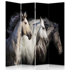Ruumijaotur Kolm hobust hind ja info | Sirmid ja vaheseinad | kaup24.ee