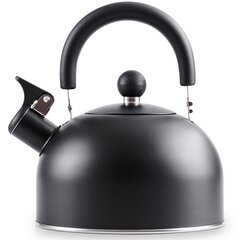стальной чайник со свистком - vilde, черный, 2 л цена и информация | Чайники, кофейники | kaup24.ee