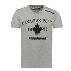 T-särk meestele Canadian Peak, hall hind ja info | Meeste T-särgid | kaup24.ee