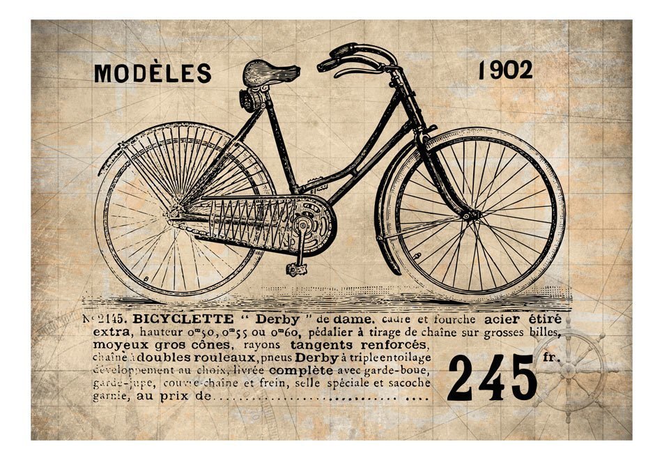 Fototapeet - Old School Bicycle hind ja info | Fototapeedid | kaup24.ee