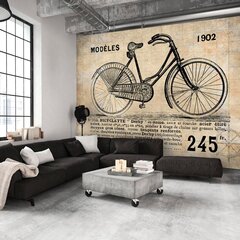 Fototapeet - Old School Bicycle цена и информация | Фотообои | kaup24.ee