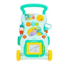 Интерактивная коляска, 2 в 1, ходунки интерактивное шасси с описанием и звуками цена и информация | Игрушки для малышей | kaup24.ee