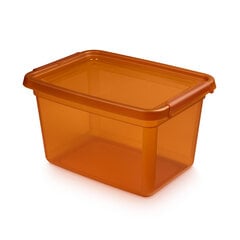 контейнер для хранения 28x38x22,5 см 15 л цена и информация | Ящики для вещей | kaup24.ee