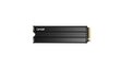 Lexar NM790 (LNM790X001T-RN9NG) цена и информация | Sisemised kõvakettad (HDD, SSD, Hybrid) | kaup24.ee