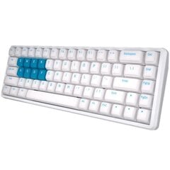 Клавиатура Lamzu Atlantis Pro, белая, US цена и информация | Клавиатуры | kaup24.ee