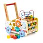 Lükatav auto Ecotoys 2in1 цена и информация | Imikute mänguasjad | kaup24.ee