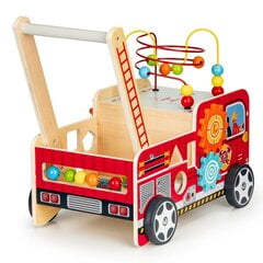 Развивающая деревянная толкалка с кубиками Ecotoys, красная, TL09025, 6 д. цена и информация | Drewniana Wieża Piramida Kura Nakładanie Kolorowych Kwadratów LD-15 15276 | kaup24.ee