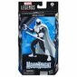 Figuur Hasbro Moon Knight цена и информация | Poiste mänguasjad | kaup24.ee