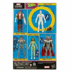 Figuur Hasbro Marvel Villains hind ja info | Poiste mänguasjad | kaup24.ee