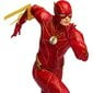 Figuur The Flash Hero Costume, 30 cm цена и информация | Poiste mänguasjad | kaup24.ee