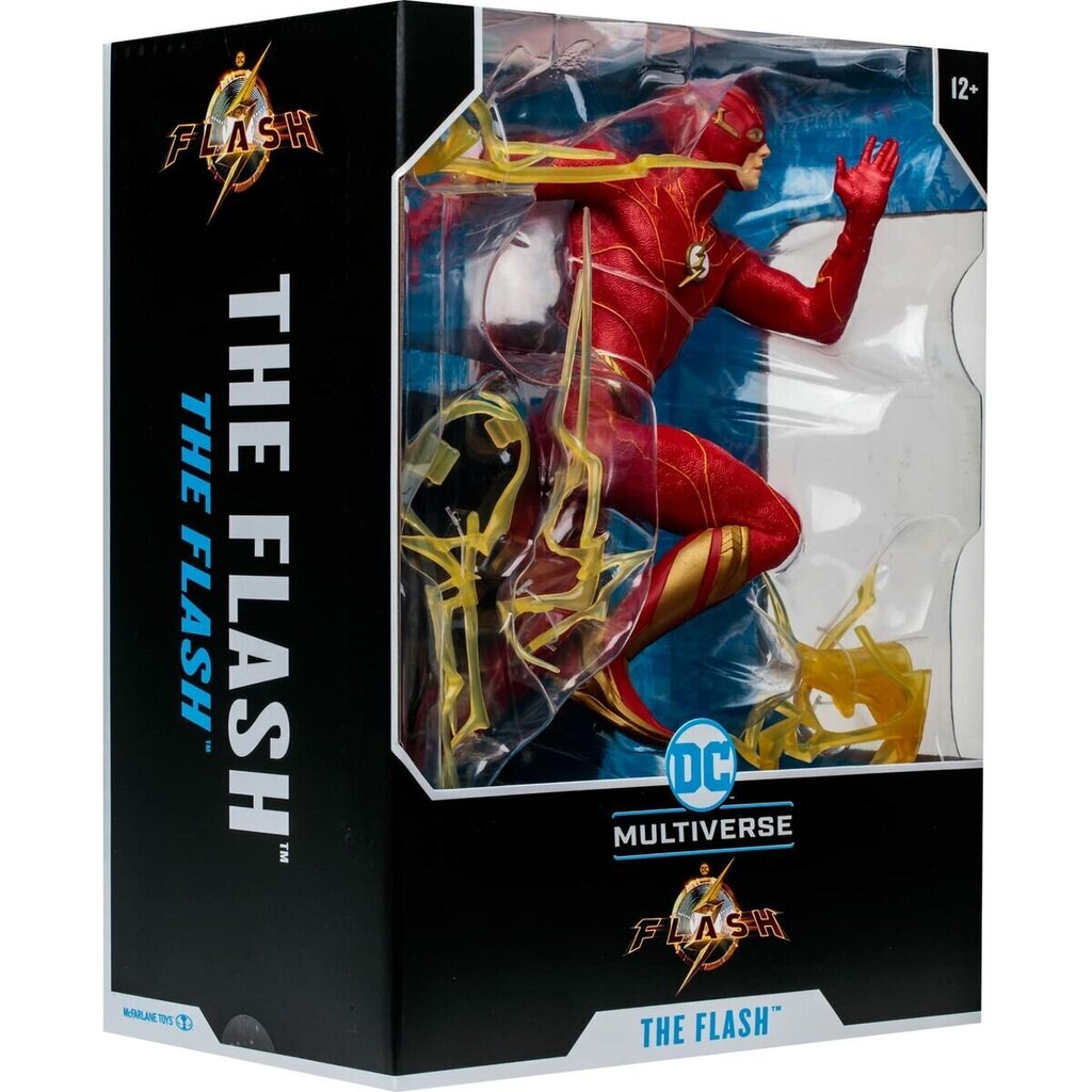 Figuur The Flash Hero Costume, 30 cm цена и информация | Poiste mänguasjad | kaup24.ee