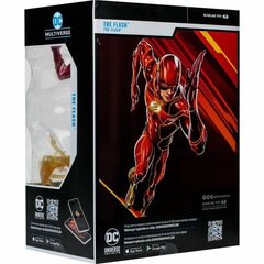 Figuur The Flash Hero Costume, 30 cm цена и информация | Игрушки для мальчиков | kaup24.ee