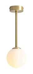 Потолочный светильник Aldex Pinne цена и информация | Потолочные светильники | kaup24.ee