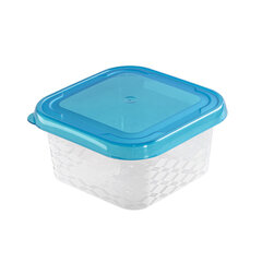 квадратная коробка для продуктов 9,5x9,5см 0,25л цена и информация | Посуда для хранения еды | kaup24.ee