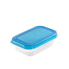 коробка пищевая прямоугольная 6,4x9,1см 0,1л цена и информация | Посуда для хранения еды | kaup24.ee