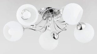 Потолочный светильник Alfa Livia Pro цена и информация | Потолочные светильники | kaup24.ee