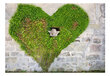 Fototapeet - Angel Stole My Heart hind ja info | Fototapeedid | kaup24.ee