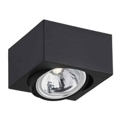 Потолочный светильник Argon Rodos цена и информация | Потолочные светильники | kaup24.ee