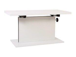 Обеденный стол BRW Daina, белый цена и информация | Кухонные и обеденные столы | kaup24.ee