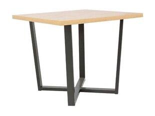 Обеденный стол BRW Dolan, коричневый цена и информация | Кухонные и обеденные столы | kaup24.ee