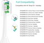 Philips Sonicare elektrilised hambaharjapead, 12 tk hind ja info | Elektriliste hambaharjade otsikud | kaup24.ee