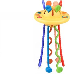 Монтессори-игрушка Kiztoys цена и информация | Развивающие игрушки и игры | kaup24.ee